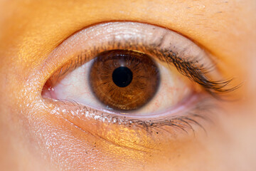 macrophotograph of a brown human eye of a young female with traces of black mascara on the eyelashes