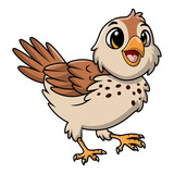 Fototapeta Dinusie - Cute quail bird cartoon on white background