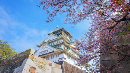 Sticker - Osaka Castle in Osaka, Japan. It's one of Osaka's most popular hanami spots during the cherry blossom season