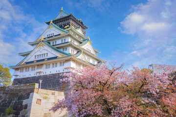 Poster - Osaka Castle in Osaka, Japan. It's one of Osaka's most popular hanami spots during the cherry blossom season