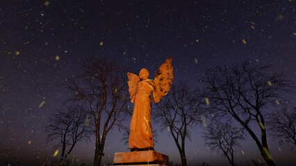 Wall Mural - angel statue in the night