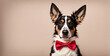 © karandaev - Dapper dog elegance: Canine charm in a stylish bow tie
