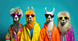 Cute funny llama group as yoga retreat in colorful clothes