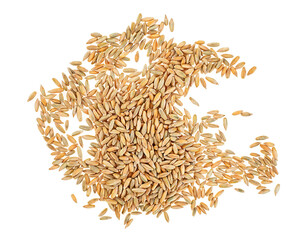 Poster - Rye grains isolated on a white background, top view. Healthy grains and cereals.