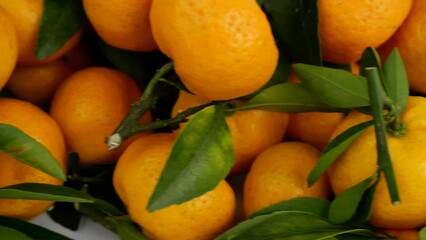 Wall Mural - Ripe mandarins with green leaves close-up.