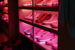 Female shoes in pink colors with luminous sole on the shelves of wardrobe or shoe shop