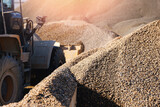 Fototapeta  - Yellow excavator truck loading sand on industrial quarry or cement factory. Construction site industry concept