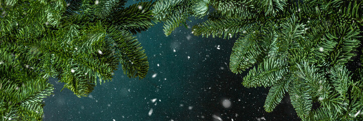 Wall Mural - Fir branches close-up on a green background, Christmas banner with falling snow