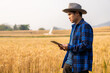 © ArLawKa - Agronomists examine and compare ripe wheat with young wheat. bountiful harvest concept Farmer with digital tablet in hand to check using technology