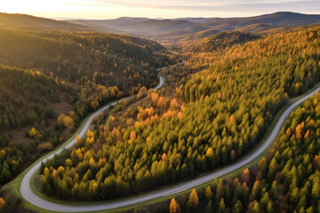 Wall Mural - Aerial view of mountain road in forest at sunset in autumn. Top view from drone of road in woods. Beautiful landscape with roadway in hills, pine trees, green meadows, golden sunlight in fall. Travel