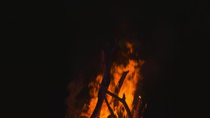 Wall Mural - Fire flame burning on night of camping background