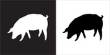 Fototapeta Pokój dzieciecy - Illustration vector graphics of pig icon