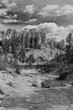 Mossy Cave Trail in Bryce Canyon National Park in Black and White
