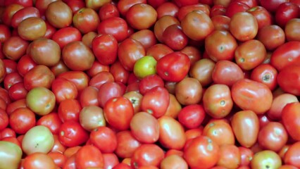 Wall Mural - Tomatoes lying on a pile on top of each other, tomato texture.