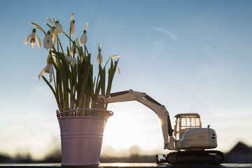 Wall Mural - bouquet of snowdrops in a small bucket and a toy excavator in backlight against the backdrop of the sunset sky. Builder's Day holiday, construction business card