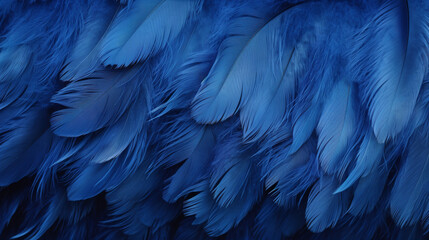  Macro of Blue Feathers Texture as Background. Swan Feather. Dark Blue Feather Vintage Backdrop