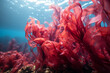 vibrant vibrant beauty of red seaweed in its underwater habitat, with its crimson hues, swaying fronds, and contrast between marine environment and striking colors of this marine flora