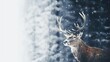 Close up of reindeer in wildlife