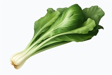 A Green Leafy Vegetable With White Stems