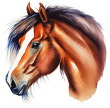 Namalowany koń obraz