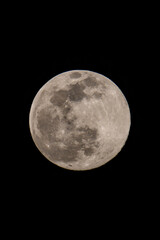 full moon in the night