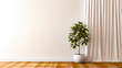 Potted plant sitting on top of wooden floor next to white wall.