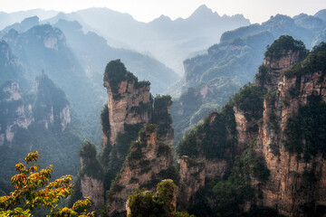 Wall Mural - China Zhangjiajie Natural Mountain scenery scenery