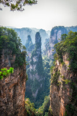 Wall Mural - China Zhangjiajie Natural Mountain scenery scenery