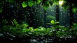 They Didnt Let Little Rain Spoil, Wallpaper Pictures, Background Hd 