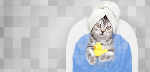Aufkleber - Cute kitten with towel on it head takes the bath at home with rubber duck. Top down view. Empty space for text