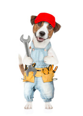 Poster - Funny Jack russell terrier puppy wearing red cap and denim overalls with tool belt holds big wrench. isolated on white background