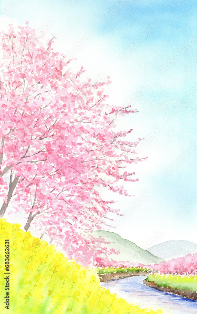 桜と菜の花のある風景の水彩画 縦長 Stock Illustration | Adobe Stock