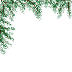  Corner border of pine and fir branches for design of postcard or banner, sign. Modern design for holiday invitation card, poster, banner, greeting card, postcard, packaging, print.