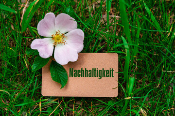 Sticker - Nachhaltigkeit