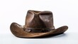a brown hat with a brown brim