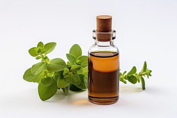 A bottle of essential oil next to a sprig of marjoram. Dark glass bottle on white background.