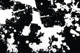 Fototapeta Dinusie - Black and white Grunge Texture. Black and white Abstract art. Grunge Background.