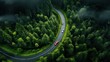 © jp - route,