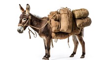Pack Mule Isolated On A White Background, Hardworking And Sturdy Animal, Traditionally Used For Carrying Heavy Loads Over Long Distances