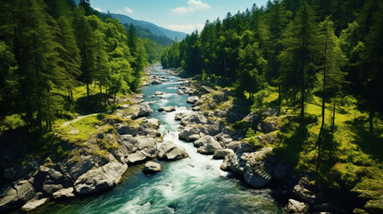 Poster - A rocky river in the middle of a forest. Aerial view of river reflecting sky, amid lush green landscape, aerial view. Top view of a mountain river in the forest