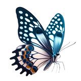 Fototapeta Motyle - butterfly front view isolated on transparent background