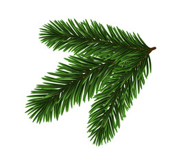 Poster - Green Christmas Fir Branch