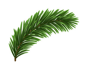 Sticker - Green Christmas Fir Branch