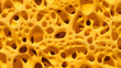 Seamless close-up texture of yellow porous sponge with irregular holes