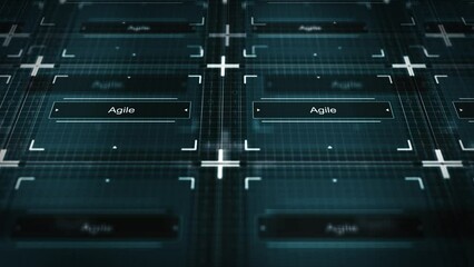 Computer Network of Software Program Running - Agile