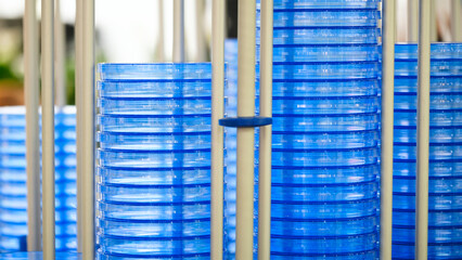 Poster - Analyst petri dish laboratory blue  background. Chemical biological medical and scientific analysis concept.