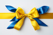 © HY - Blue and yellow ribbon bow on white background