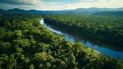 Wall Mural - a river running through a forest