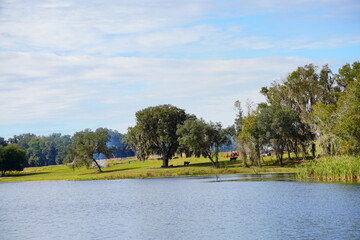 Poster - Middle lake park at Wesley Chapel, close to Tampa in Florida	
