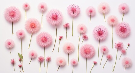  Unveiling the Elegance of Pink Dandelion: A Set That Defines Purity Generative AI